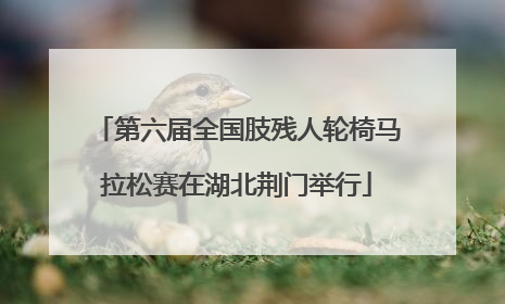 第六届全国肢残人轮椅马拉松赛在湖北荆门举行